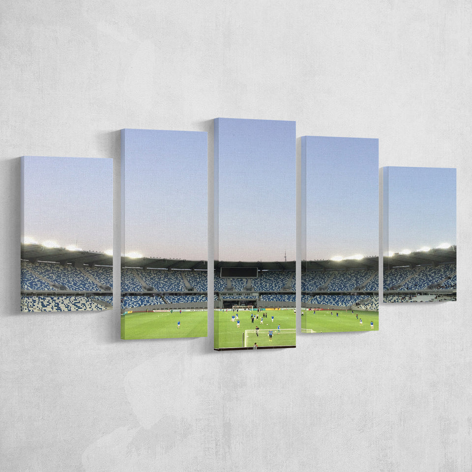 Boris Paichadze Dinamo, Stadium Canvas, Sport Art, Large Canvas, Multi Panels, Canvas Prints Wall Art Decor