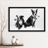Boston Terriers Smoking Pipes Black And White Print, Framed Canvas Prints Wall Art Home Decor,Floating Frame