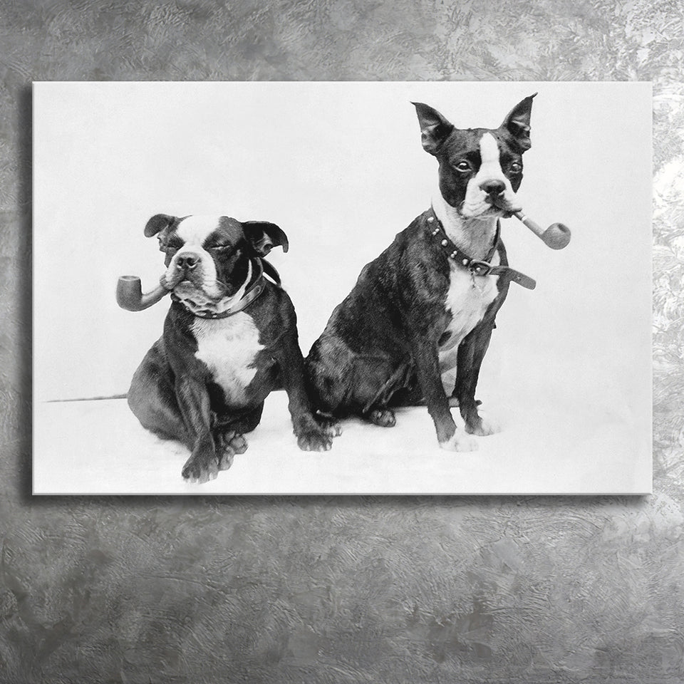 Boston Terriers Smoking Pipes Black And White Print, Canvas Prints Wall Art Home Decor