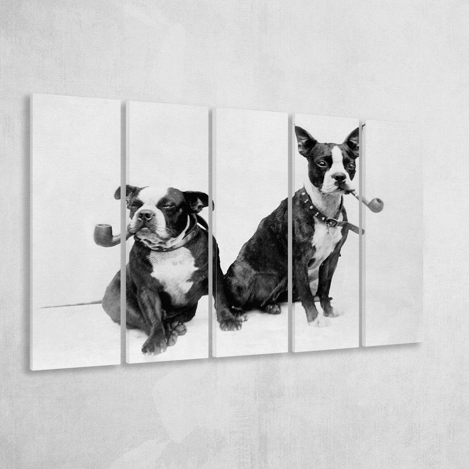 Boston Terriers Smoking Pipes Black And White Print, Larger Canvas Art, 5 Piece Canvas Prints Wall Art Decor