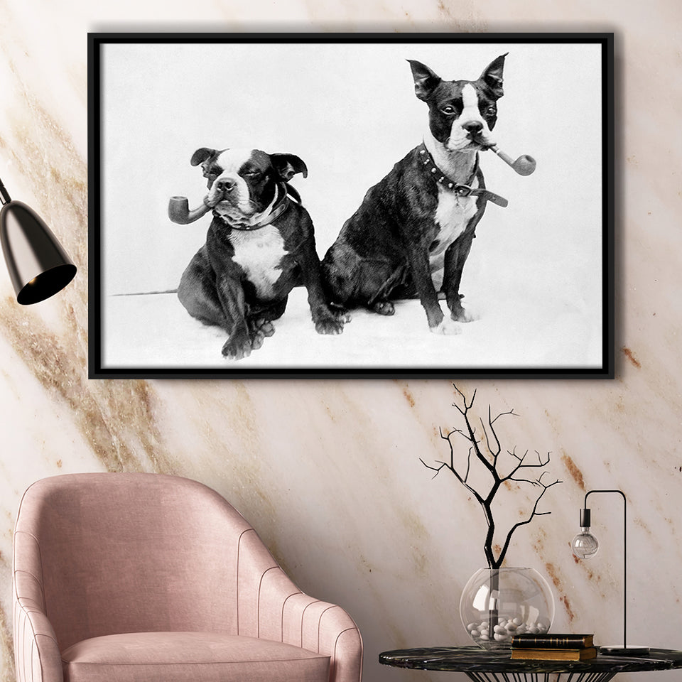 Boston Terriers Smoking Pipes Black And White Print, Framed Canvas Prints Wall Art Home Decor,Floating Frame