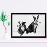 Boston Terriers Smoking Pipes Black And White Print, Framed Art Prints, Wall Art,Home Decor,Framed Picture