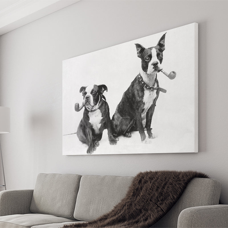 Boston Terriers Smoking Pipes Black And White Print, Canvas Prints Wall Art Home Decor