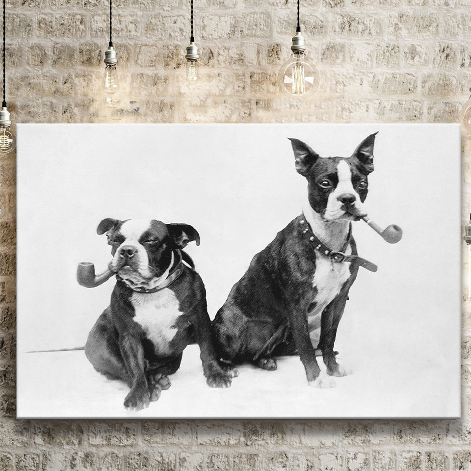 Boston Terriers Smoking Pipes Black And White Print, Canvas Prints Wall Art Home Decor