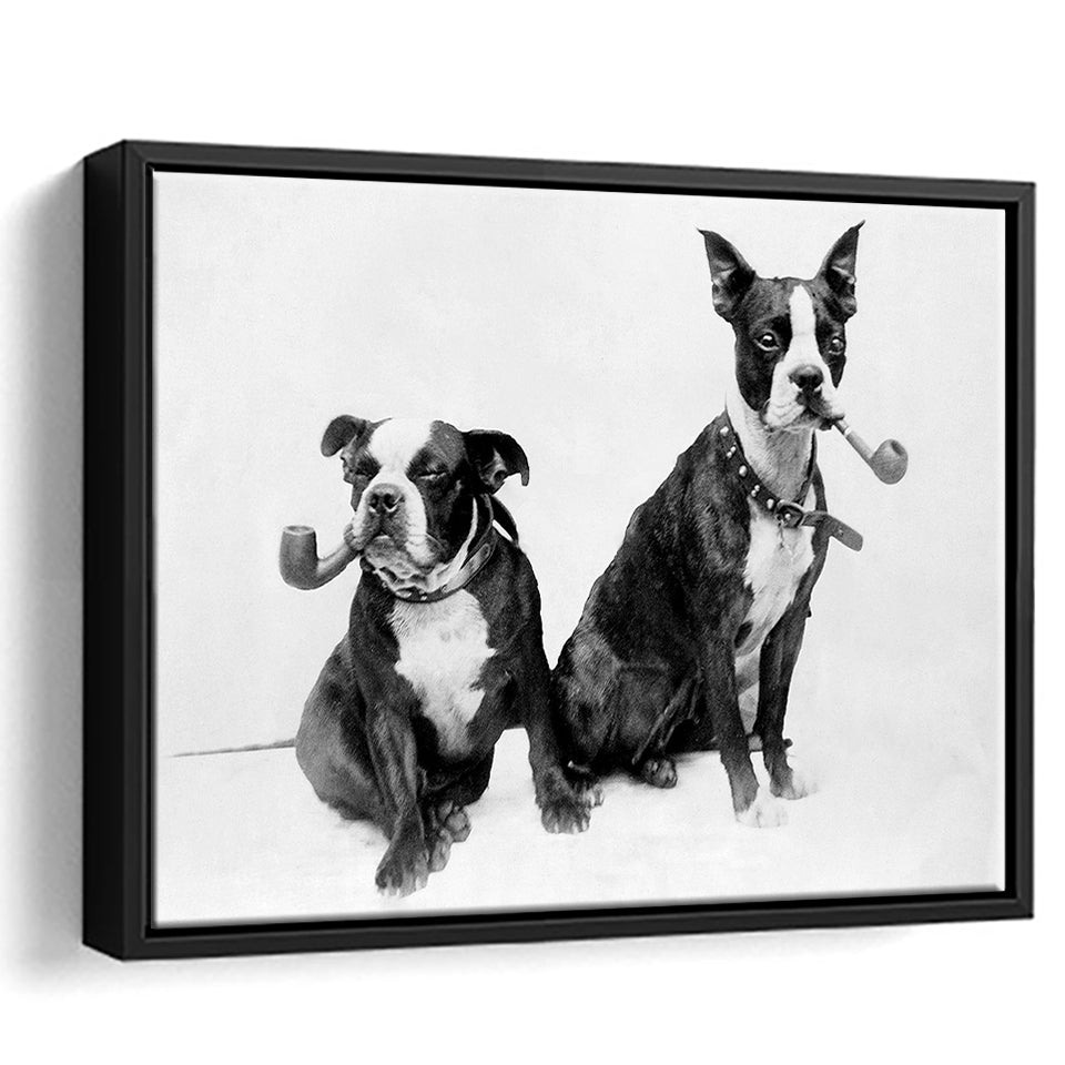 Boston Terriers Smoking Pipes Black And White Print, Framed Canvas Prints Wall Art Home Decor,Floating Frame