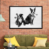 Boston Terriers Smoking Pipes Black And White Print, Framed Art Prints, Wall Art,Home Decor,Framed Picture