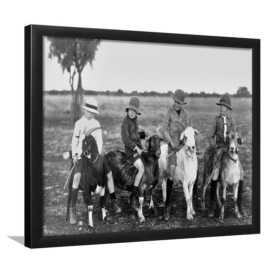 Boys Riding Goats Black And White Print, Framed Art Prints, Wall Art,Home Decor,Framed Picture