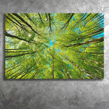 Branch Tree Trees Canvas Landscape Canvas Prints Wall Art Home Decor - Painting Canvas, Ready to hang