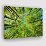 Branch Tree Trees Canvas Landscape Canvas Prints Wall Art Home Decor - Painting Canvas, Ready to hang