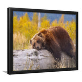 Brown Bear Resting on a Log Framed Art Prints Wall Decor - Painting Prints, Framed Picture, Home Decor