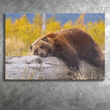 Brown Bear Resting on a Log Canvas Prints Wall Art Decor - Paiting Canvas, Art Prints, Wall Decor, For Sale