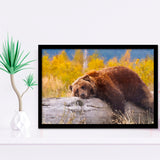Brown Bear Resting on a Log Framed Art Prints Wall Decor - Painting Prints, Framed Picture, Home Decor