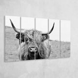 Bull Longhorn Bull Buffalo Cow Extra Large Canvas Prints Multi Panels B Wall Art Prints Home Decor