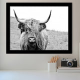 Bull Longhorn Bull Buffalo Cow Framed Art Prints Wall Decor - Painting Art,Framed Picture,For Sale, Ready to hang