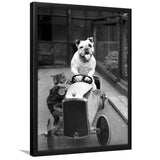 Bulldog And Cat Driving A Car Black And White Print, Animal Friends Framed Art Print Wall Art Decor,Framed Picture