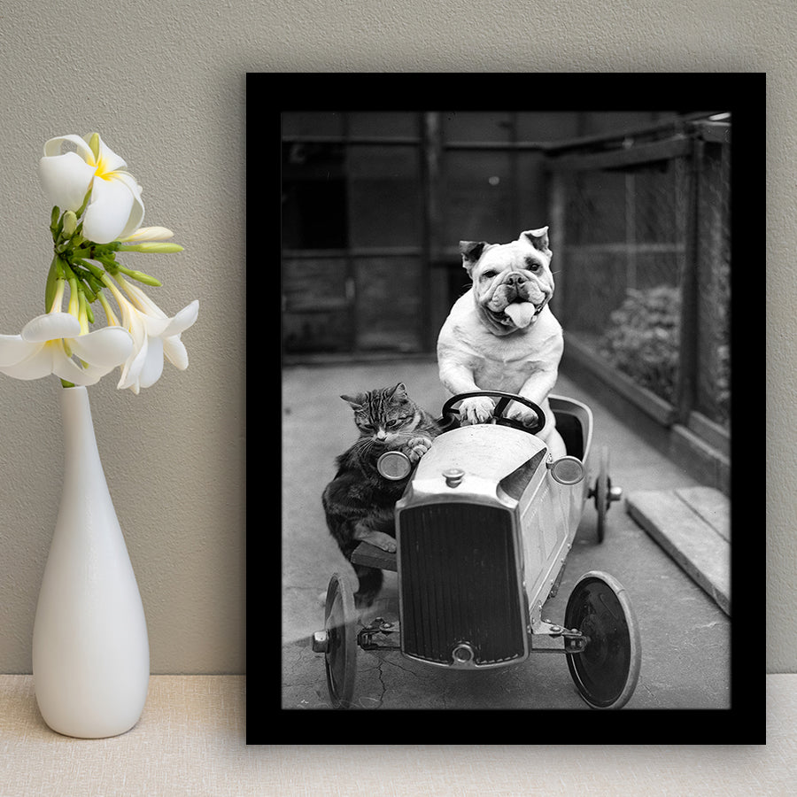 Bulldog And Cat Driving A Car Black And White Print, Animal Friends Framed Art Print Wall Art Decor,Framed Picture