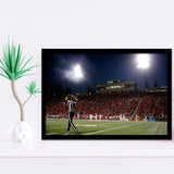 Bulldog Stadium, Stadium Canvas, Sport Art, Gift for him, Framed Art Prints Wall Art Decor, Framed Picture