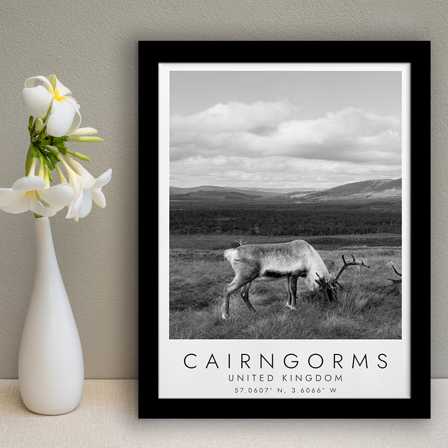 Cairngorms National Park Travel Art Black And White Decor Framed Art Prints Wall Art Decor, Framed Picture