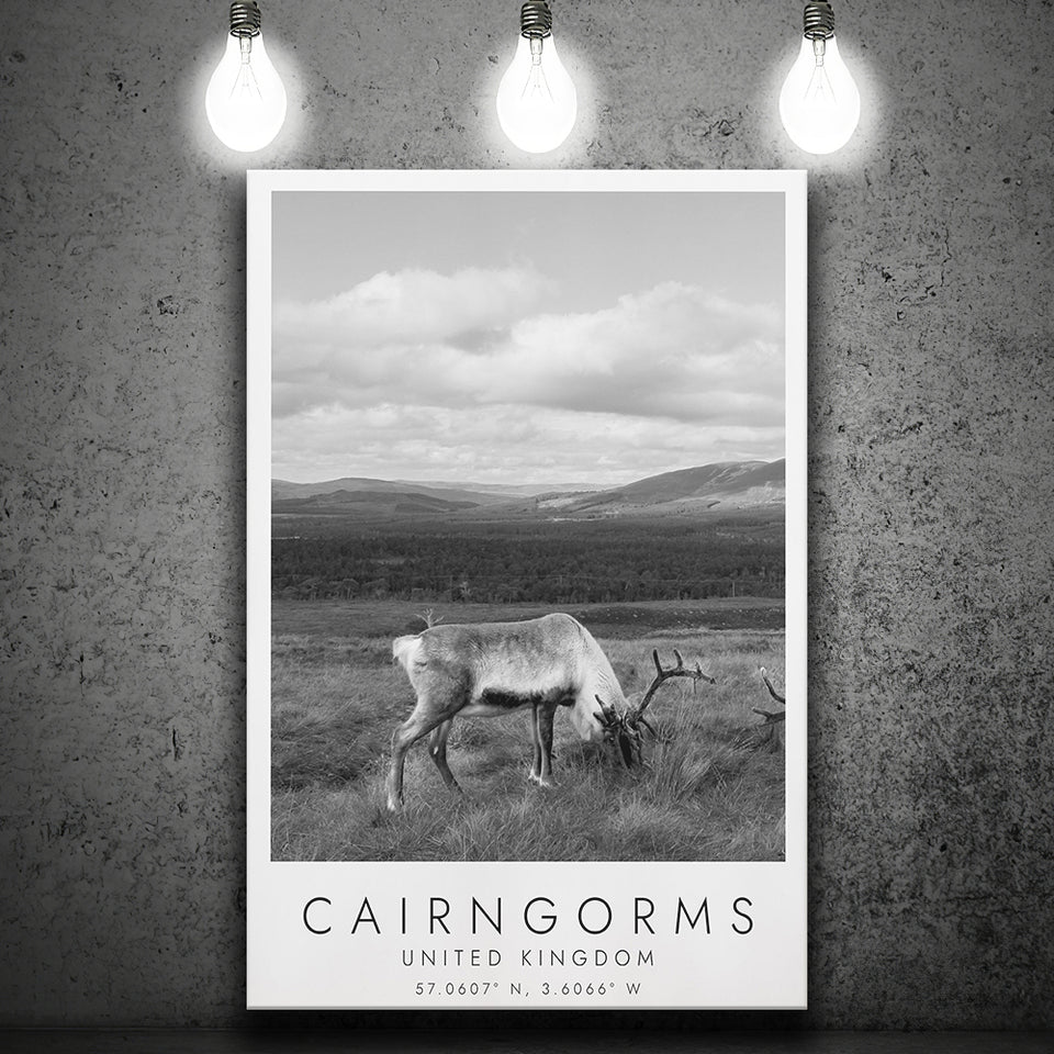 Cairngorms National Park Travel Art Black And White Decor Canvas Prints Wall Art Home Decor