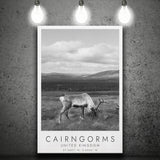 Cairngorms National Park Travel Art Black And White Decor Canvas Prints Wall Art Home Decor