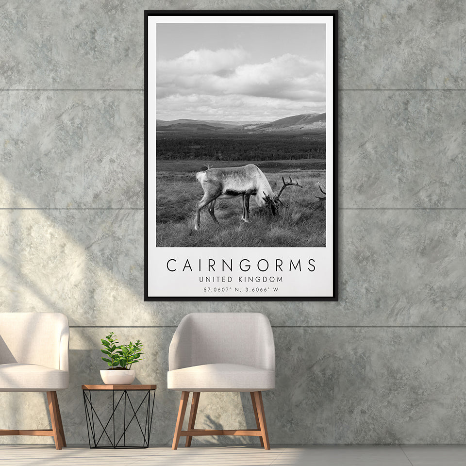 Cairngorms National Park Travel Art Black And White Decor Framed Canvas Prints Wall Art Home Decor, Floating Frame