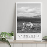 Cairngorms National Park Travel Art Black And White Decor Canvas Prints Wall Art Home Decor