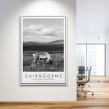 Cairngorms National Park Travel Art Black And White Decor Framed Canvas Prints Wall Art Home Decor, Floating Frame