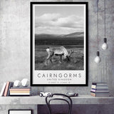 Cairngorms National Park Travel Art Black And White Decor Framed Art Prints Wall Art Decor, Framed Picture