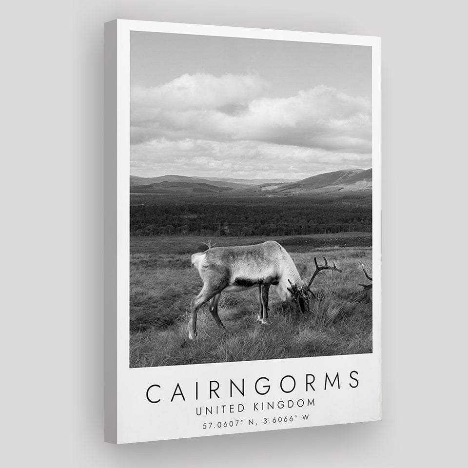 Cairngorms National Park Travel Art Black And White Decor Canvas Prints Wall Art Home Decor