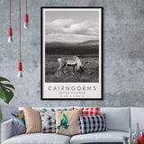 Cairngorms National Park Travel Art Black And White Decor Framed Art Prints Wall Art Decor, Framed Picture