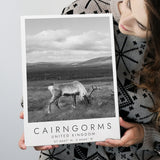 Cairngorms National Park Travel Art Black And White Decor Canvas Prints Wall Art Home Decor