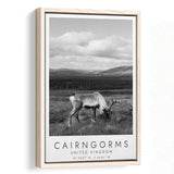 Cairngorms National Park Travel Art Black And White Decor Framed Canvas Prints Wall Art Home Decor, Floating Frame