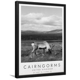 Cairngorms National Park Travel Art Black And White Decor Framed Art Prints Wall Art Decor, Framed Picture