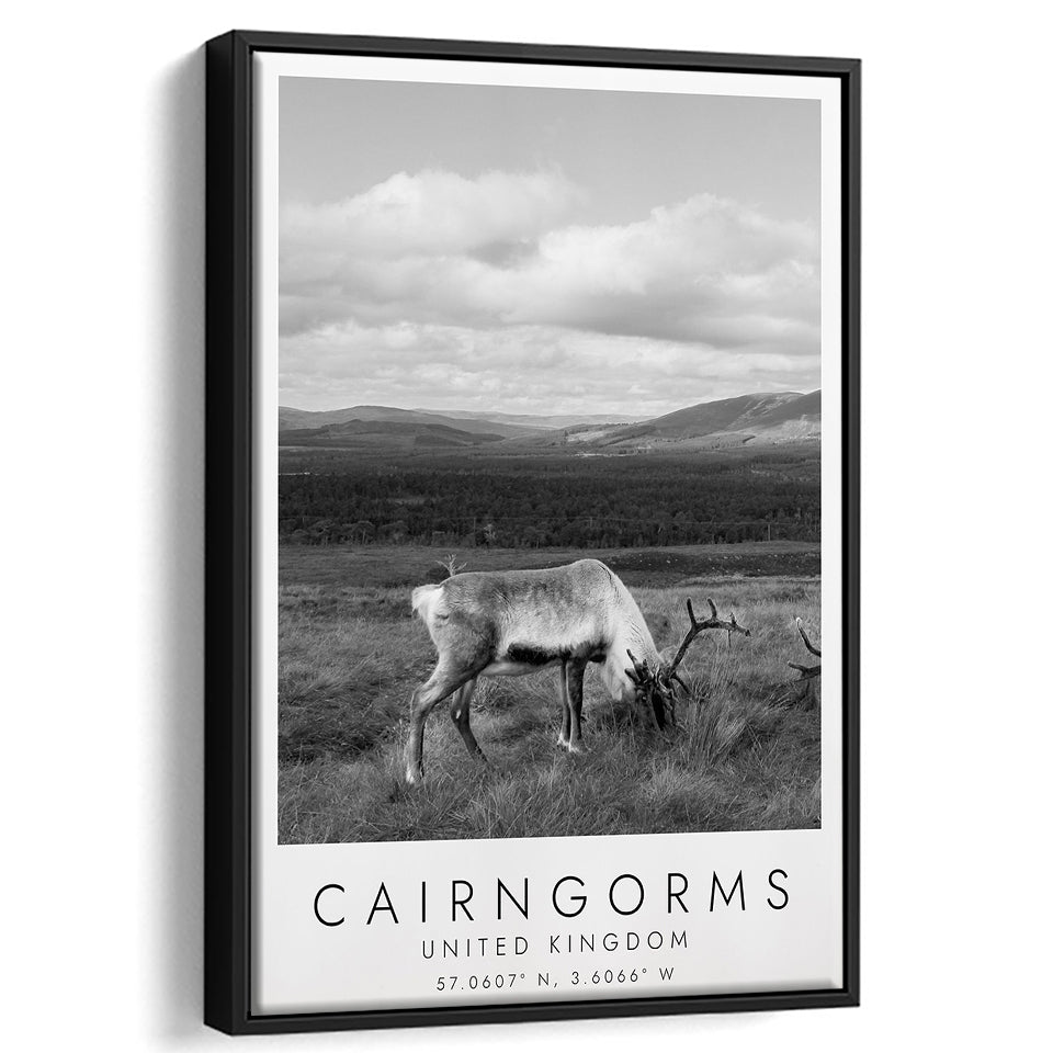 Cairngorms National Park Travel Art Black And White Decor Framed Canvas Prints Wall Art Home Decor, Floating Frame