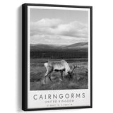 Cairngorms National Park Travel Art Black And White Decor Framed Canvas Prints Wall Art Home Decor, Floating Frame