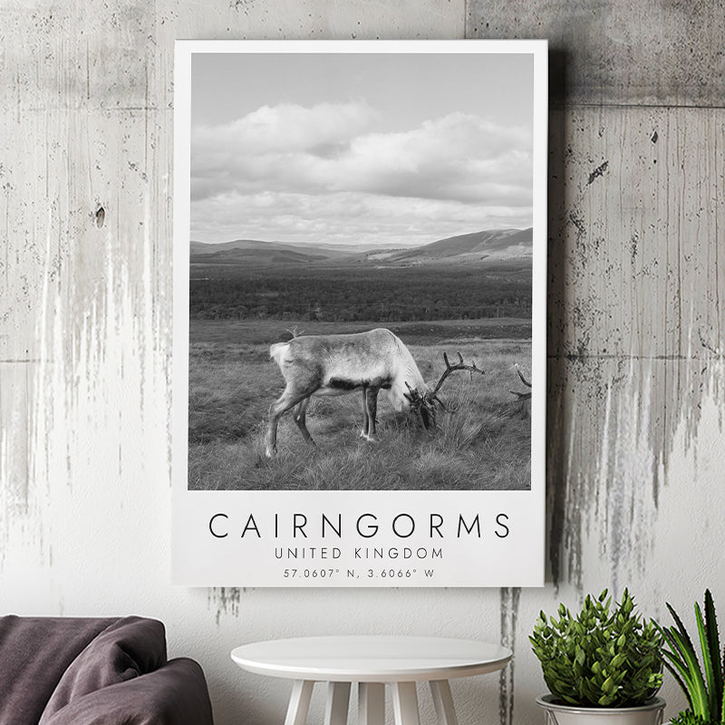 Cairngorms National Park Travel Art Black And White Decor Canvas Prints Wall Art Home Decor