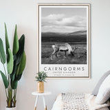 Cairngorms National Park Travel Art Black And White Decor Framed Canvas Prints Wall Art Home Decor, Floating Frame