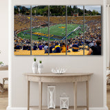 California Golden Bears Wall Art California Memorial Stadium,Multi Panels B,Sport Stadium Art Prints, Fan Gift