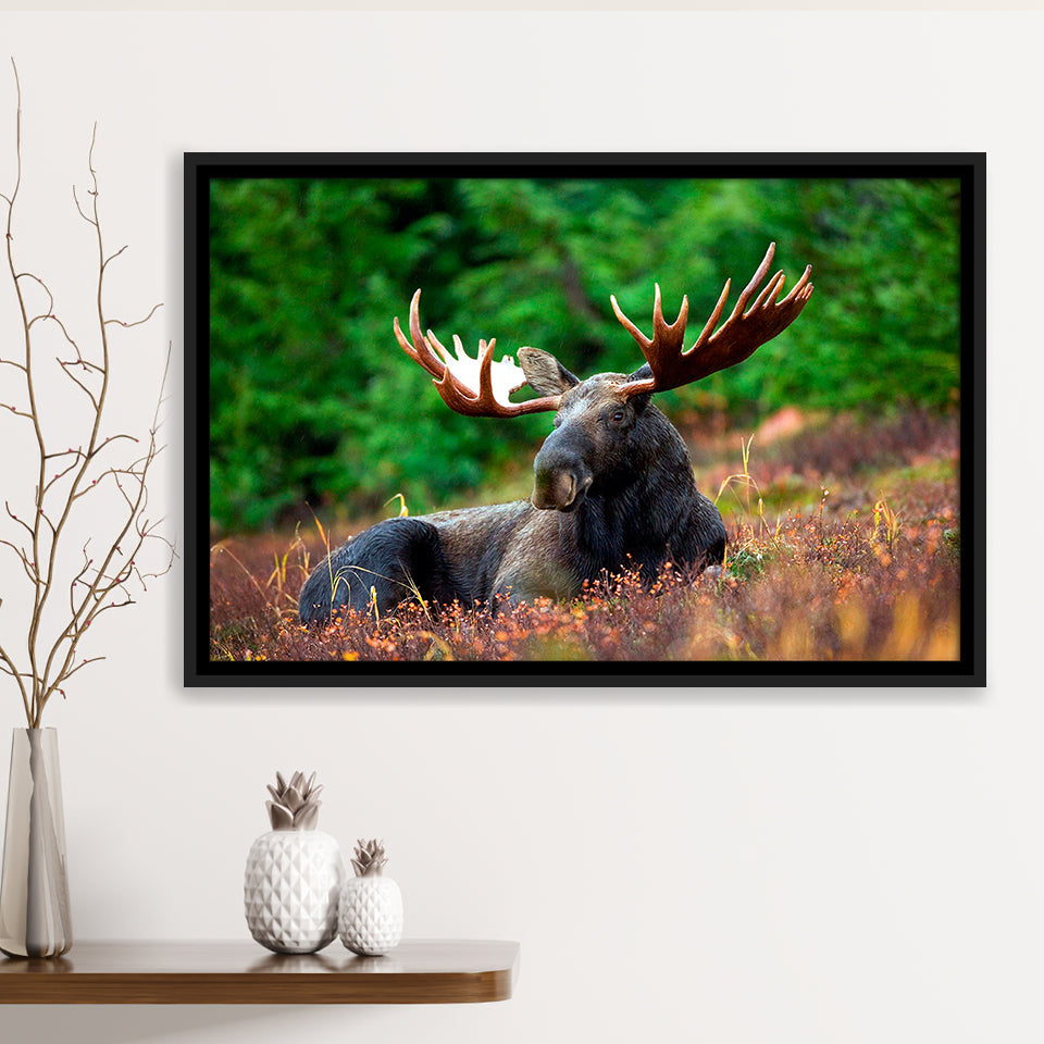 Canadian Moose Framed Canvas Prints Wall Art Decor, Framed Picture, Floating Frame