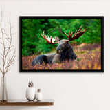 Canadian Moose Framed Canvas Prints Wall Art Decor, Framed Picture, Floating Frame