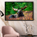 Canadian Moose Framed Canvas Prints Wall Art Decor, Framed Picture, Floating Frame