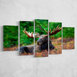Canadian Moose 5 Piece Canvas Prints Wall Art Decor, Multi Panels, Mixed Canvas