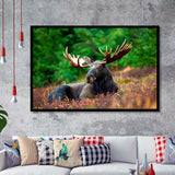 Canadian Moose Framed Art Prints Wall Art Decor, Framed Picture, Home Decor