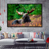 Canadian Moose Framed Canvas Prints Wall Art Decor, Framed Picture, Floating Frame