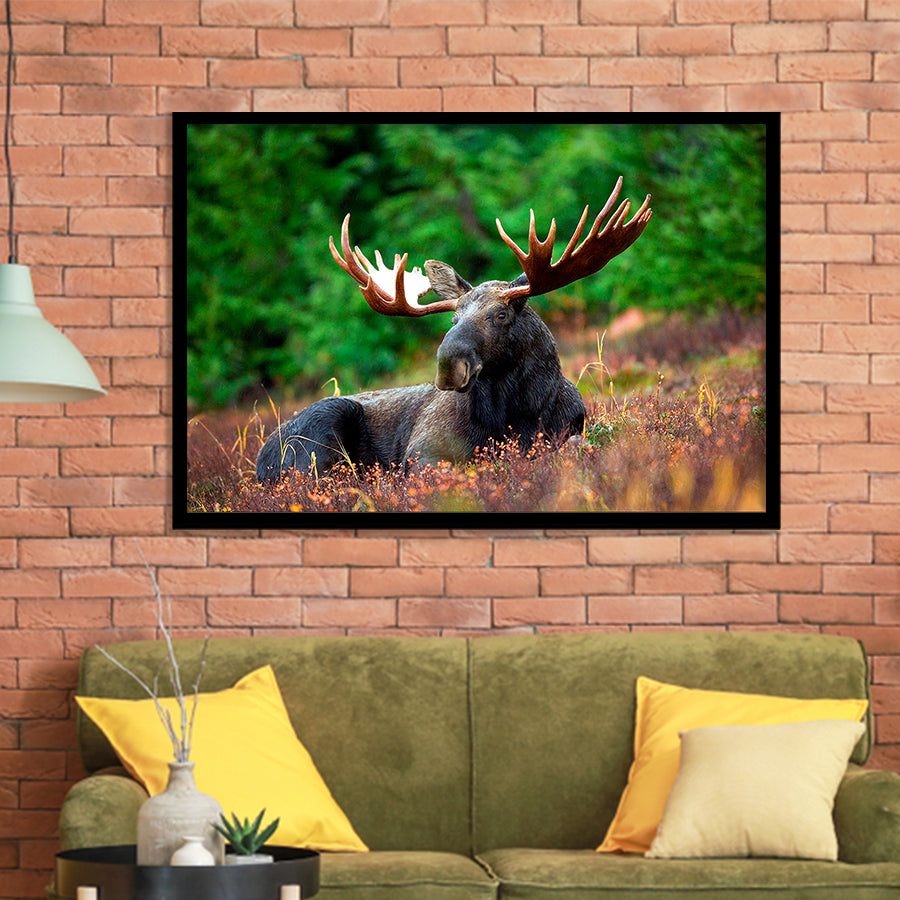 Canadian Moose Framed Art Prints Wall Art Decor, Framed Picture, Home Decor