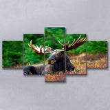 Canadian Moose 5 Piece Canvas Prints Wall Art Decor, Multi Panels, Mixed Canvas