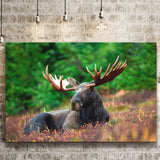 Canadian Moose Canvas Prints Wall Art Decor - Painting Canvas,Home Decor, Ready to Hang