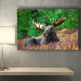 Canadian Moose Canvas Prints Wall Art Decor - Painting Canvas,Home Decor, Ready to Hang