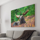 Canadian Moose Canvas Prints Wall Art Decor - Painting Canvas,Home Decor, Ready to Hang