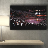 Capital One Arena, Stadium Canvas, Sport Art, Gift for him, Fan Gift, Canvas Prints Wall Art Decor